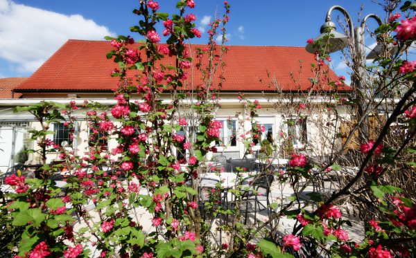 Blumenambiente der Sonnenterrasse